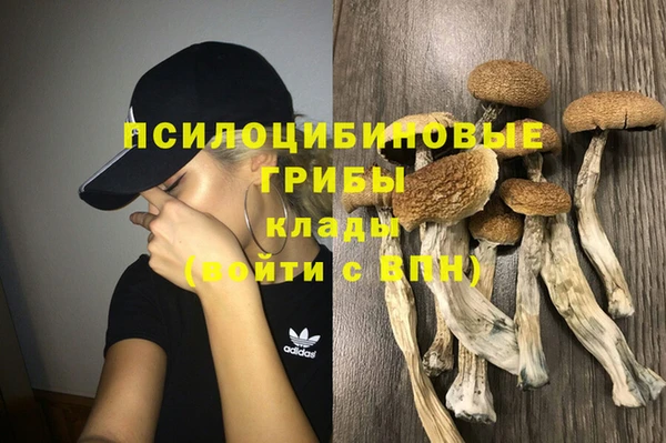 прущий лед Арсеньев