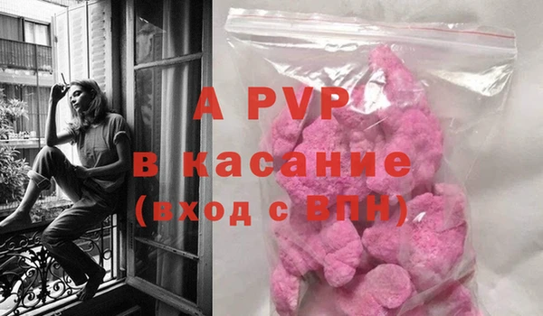 ешки Аркадак