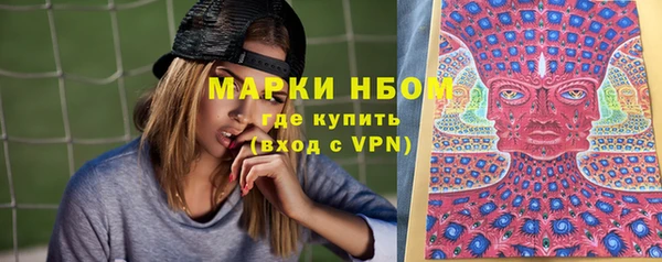 ешки Аркадак