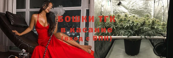прущий лед Арсеньев