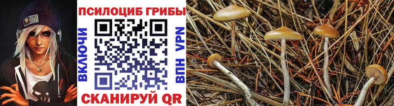 Псилоцибиновые грибы прущие грибы  Малоархангельск 